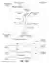 Fig. 201 - Performing search queries for key performance indicators using an optimized common information model