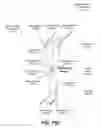 Fig. 202 - Performing search queries for key performance indicators using an optimized common information model