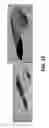 Fig. 14 - Analysis of laminate structures