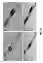 Fig. 17 - Analysis of laminate structures