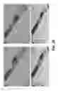 Fig. 18 - Analysis of laminate structures