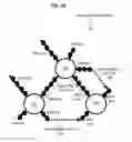 Fig. 16 - Techniques for controlling spatial structure of nucleic acid structures based on lattice-free, three dimensional junction coordinates