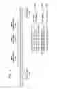 Fig. 07 - BIOLOGICAL SEQUENCE TANDEM REPEAT CHARACTERIZATION
