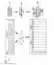 Fig. 08 - BIOLOGICAL SEQUENCE TANDEM REPEAT CHARACTERIZATION