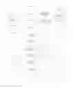 Fig. 01 - Temporary cutaneous information device and associated method and multi-patient treatment infrastructure