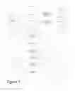 Fig. 02 - Temporary cutaneous information device and associated method and multi-patient treatment infrastructure