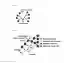 Fig. 15 - Multi-scale complex systems transdisciplinary analysis of response to therapy