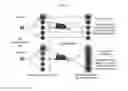 Fig. 29 - Multi-scale complex systems transdisciplinary analysis of response to therapy