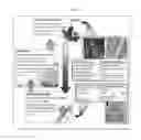 Fig. 38 - Multi-scale complex systems transdisciplinary analysis of response to therapy