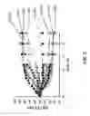 Fig. 06 - PERSONALIZED ANTIBIOTIC DOSING PLATFORM