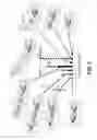 Fig. 07 - PERSONALIZED ANTIBIOTIC DOSING PLATFORM