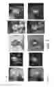 Fig. 07 - Hierarchical interlinked multi-scale convolutional network for image parsing