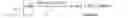 Fig. 15 - Image cropping suggestion using multiple saliency maps