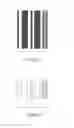 Fig. 02 - SYNTHETIC BARCODE PAYMENT SYSTEM AND METHOD