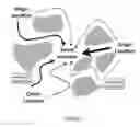 Fig. 02 - SPATIO-TEMPORAL FORECASTING OF FUTURE RISK FROM PAST EVENTS