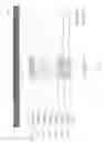 Fig. 219 - Adaptive key performance indicator thresholds