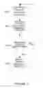 Fig. 05 - Peer to Peer Delivery System