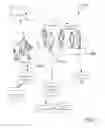 Fig. 08 - Employment Verification and Recruiting Platform and Method of Use