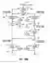 Fig. 22 - METHODS FOR RISK MANAGEMENT IN PAYMENT-ENABLED MOBILE DEVICE