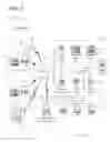 Fig. 04 - Systems and methods for converting account portfolios from one processing network to another