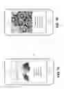 Fig. 15 - WRAPPED PACKAGE OF CARDS INCLUDING NATIVE ADVERTISING