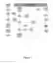Fig. 08 - Practitioner Career Management Assessment Interviewer Method and Tool