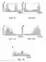 Fig. 04 - Auto-contrast enhancement system