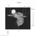 Fig. 09 - Medical imaging apparatus, program installable in medical imaging apparatus, and medical imaging method
