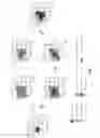 Fig. 05 - Method and apparatus for generating superpixel clusters