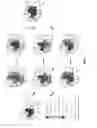 Fig. 06 - Method and apparatus for generating superpixel clusters