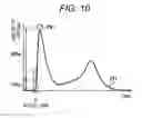 Fig. 11 - Image processing device, method, and medium for calculating propagation speed and direction of object pulsations