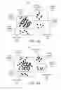 Fig. 05 - Displaying visual analytics of entity data