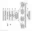 Fig. 04 - USE OF BORDERLINES IN URBAN 3D-MODELING