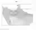 Fig. 04 - Method and apparatus for modeling target object to represent smooth silhouette