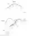 Fig. 07 - Method and apparatus for modeling target object to represent smooth silhouette