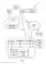 Fig. 02 - Transfer of attributes between generations of characters