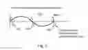Fig. 06 - Haptic warping system