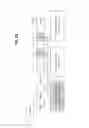 Fig. 30 - High resolution encoding and transmission of traffic information