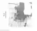 Fig. 40 - High resolution encoding and transmission of traffic information