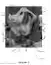 Fig. 04 - Pelvic model
