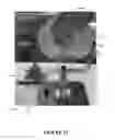 Fig. 13 - Pelvic model