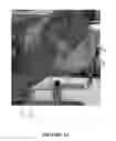 Fig. 14 - Pelvic model