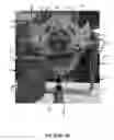 Fig. 19 - Pelvic model