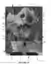 Fig. 21 - Pelvic model