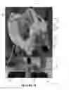 Fig. 22 - Pelvic model