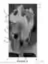 Fig. 24 - Pelvic model