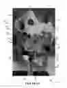 Fig. 25 - Pelvic model