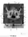 Fig. 26 - Pelvic model