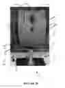 Fig. 30 - Pelvic model