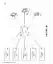 Fig. 41 - Pelvic model